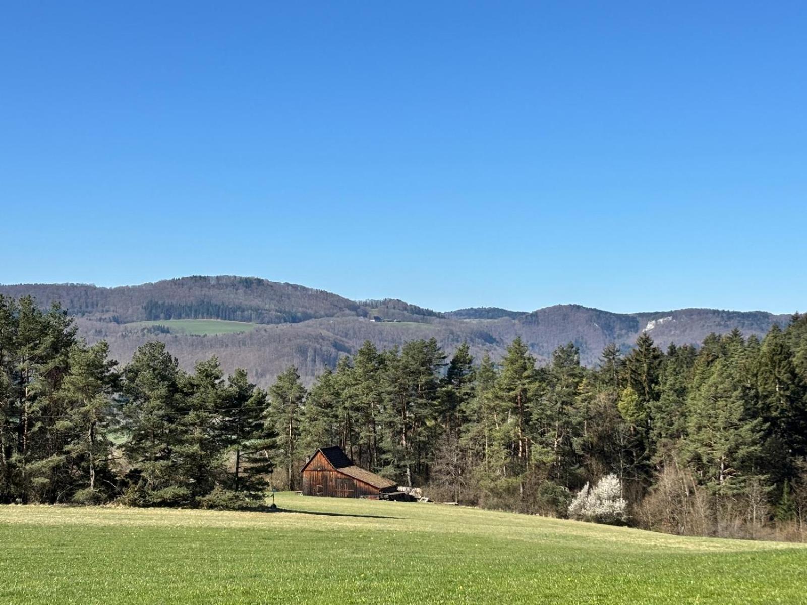 Appartamento Atemberaubender Ausblick Mit Premium-Wanderwegen Vor Der Haustuer Albstadt Esterno foto