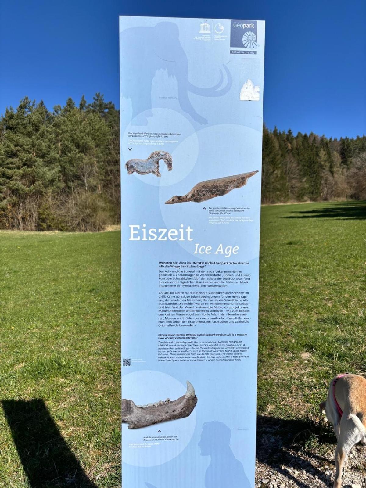 Appartamento Atemberaubender Ausblick Mit Premium-Wanderwegen Vor Der Haustuer Albstadt Esterno foto